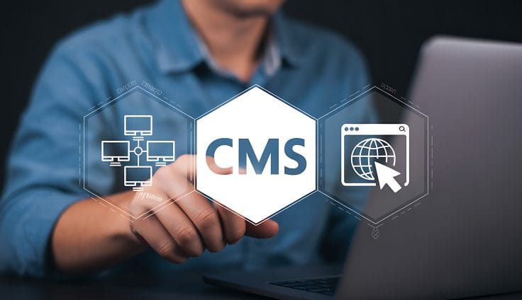 CMS Development
